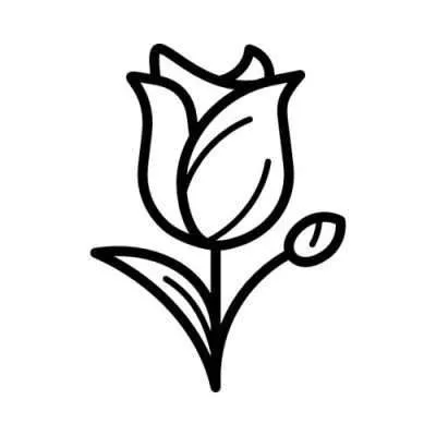 Ornament 17 (+39,90 €)