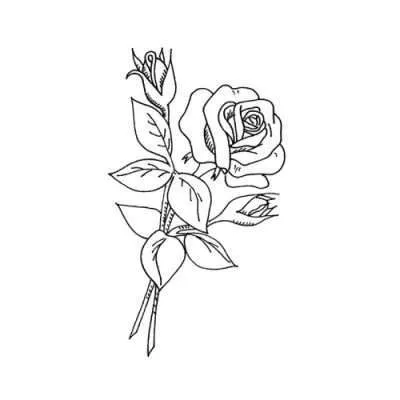 Ornament 10 (+39,90 €)