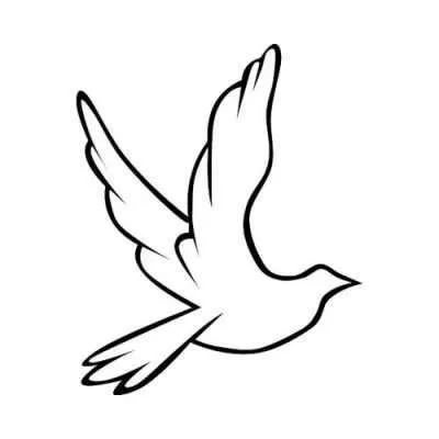 Ornament 20 (+39,90 €)