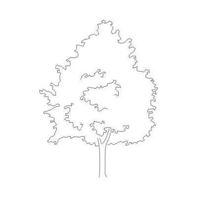 Ornament 18 (+39,90 €)